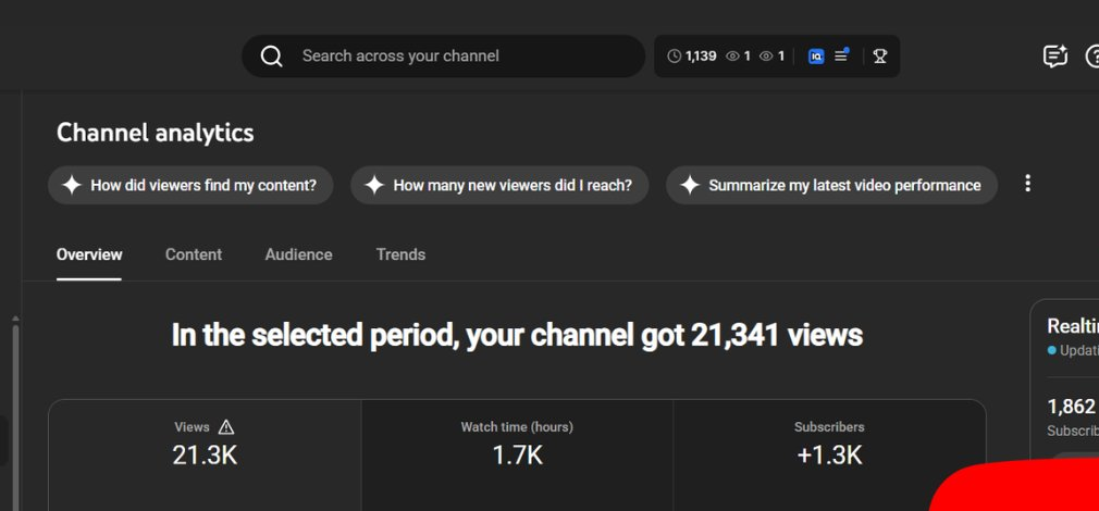 YouTube analytics showing 21,000 views and 1,300 subscribers built in a single year from scratch